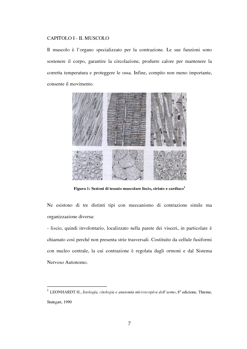 Anteprima della tesi: Efficacia del Pompage nel trattamento riabilitativo delle Distrofie Facio Scapolo Omerali, Pagina 4