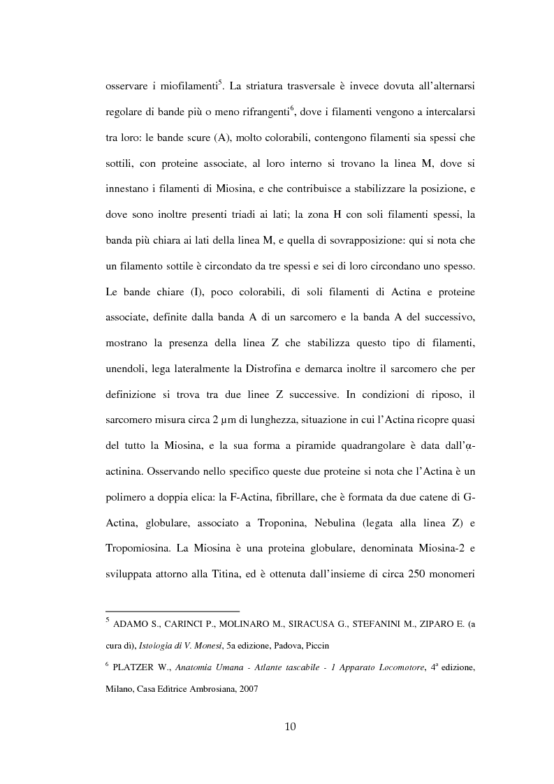 Anteprima della tesi: Efficacia del Pompage nel trattamento riabilitativo delle Distrofie Facio Scapolo Omerali, Pagina 7