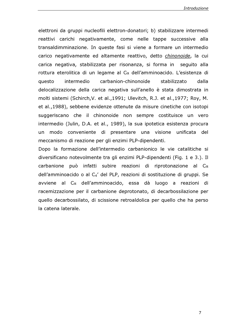 Anteprima della tesi: Analisi cinetica e spettroscopica di glutammato decarbossilasi 1 da Arabidopsis thaliana, Pagina 5