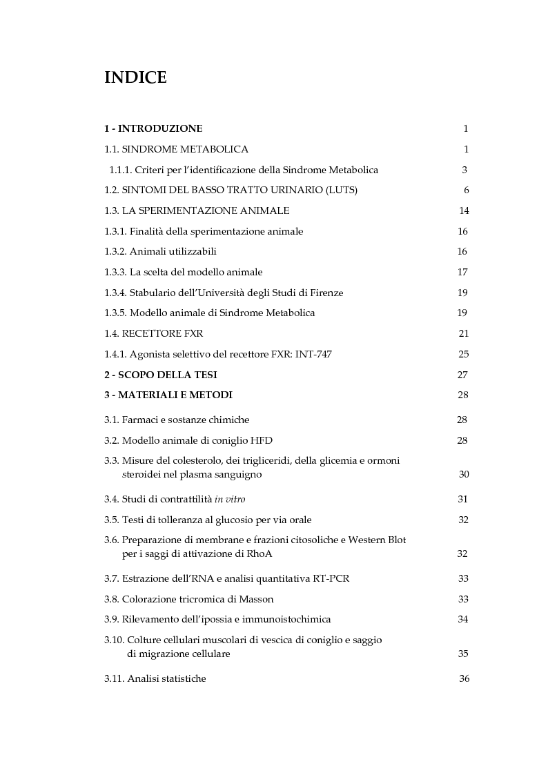 Indice della tesi: Effetto di due diversi trattamenti farmacologici sull'alterazione della vescica in un modello animale di Sindrome Metabolica, Pagina 1