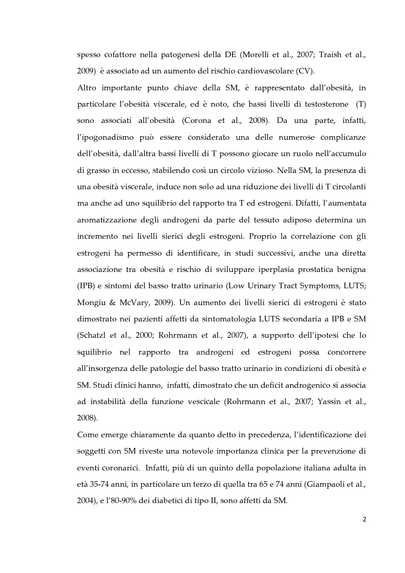 Anteprima della tesi: Effetto di due diversi trattamenti farmacologici sull'alterazione della vescica in un modello animale di Sindrome Metabolica, Pagina 3