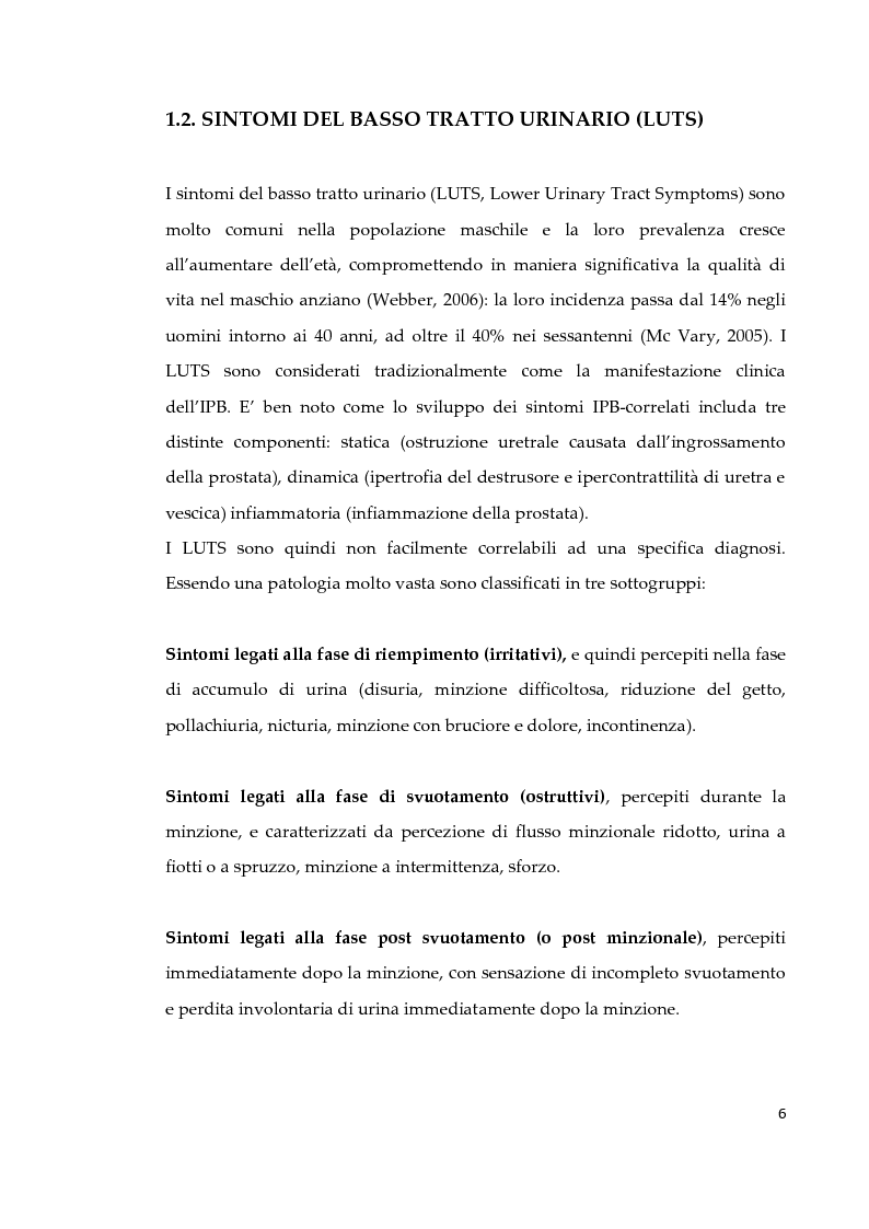 Anteprima della tesi: Effetto di due diversi trattamenti farmacologici sull'alterazione della vescica in un modello animale di Sindrome Metabolica, Pagina 7