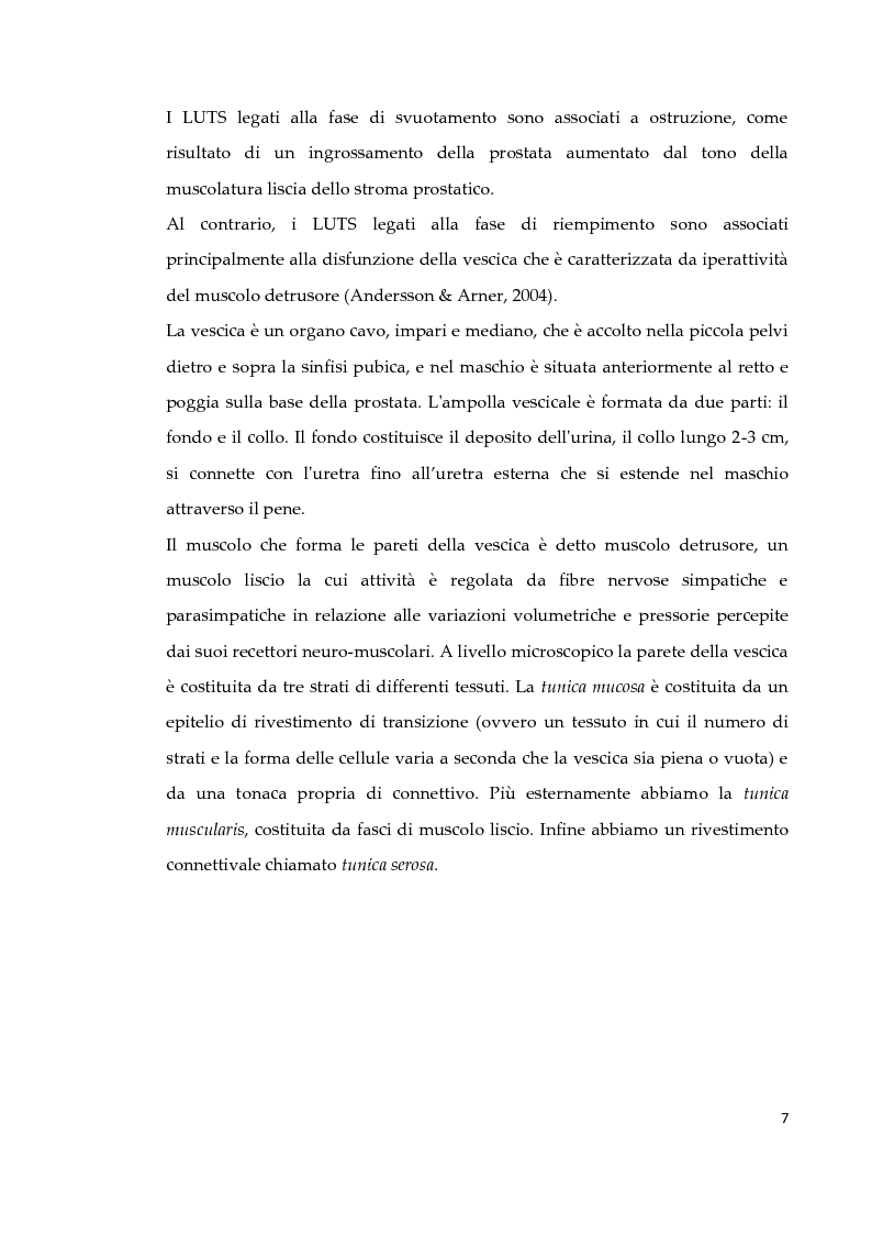 Anteprima della tesi: Effetto di due diversi trattamenti farmacologici sull'alterazione della vescica in un modello animale di Sindrome Metabolica, Pagina 8