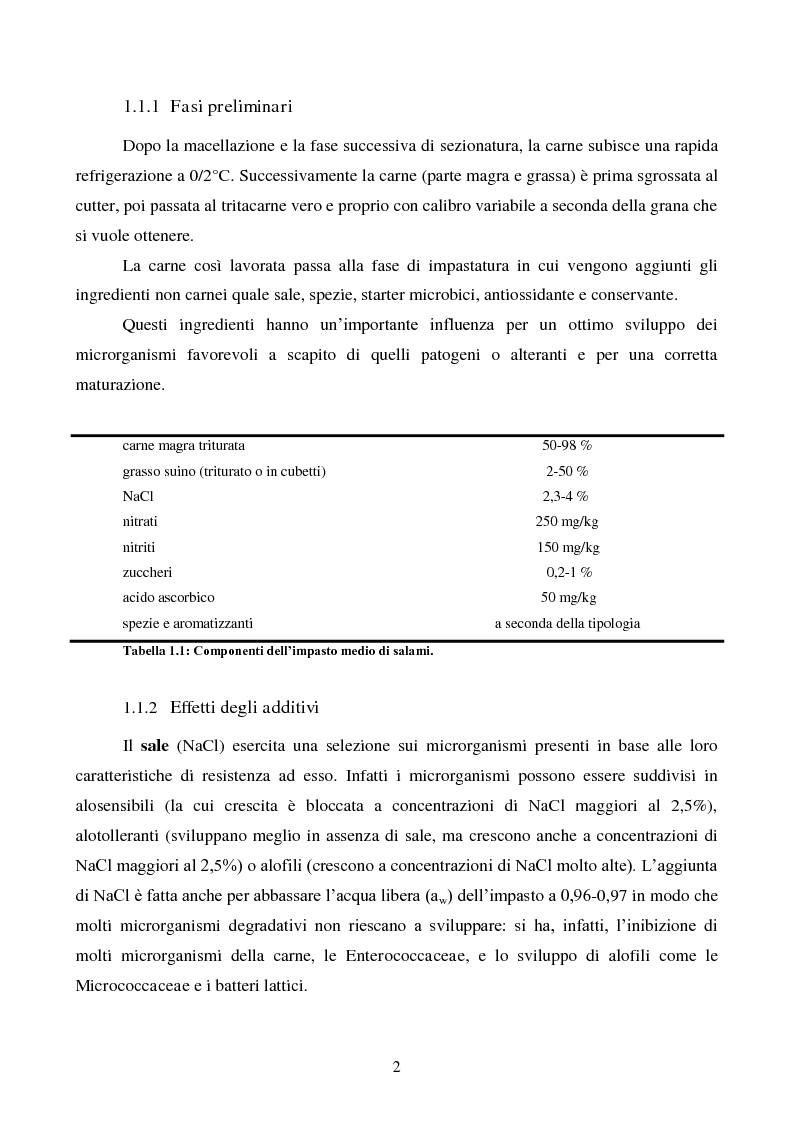 Anteprima della tesi: Effetti degli starter e delle condizioni di maturazione su salami tipici, Pagina 3