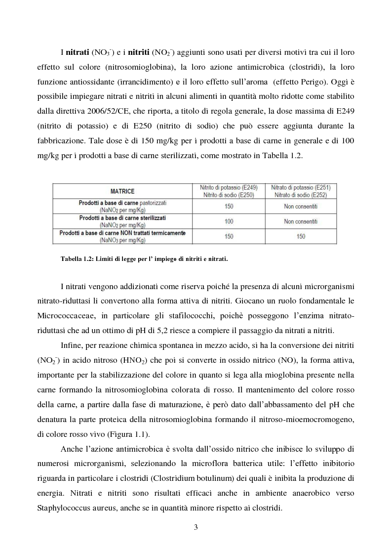 Anteprima della tesi: Effetti degli starter e delle condizioni di maturazione su salami tipici, Pagina 4