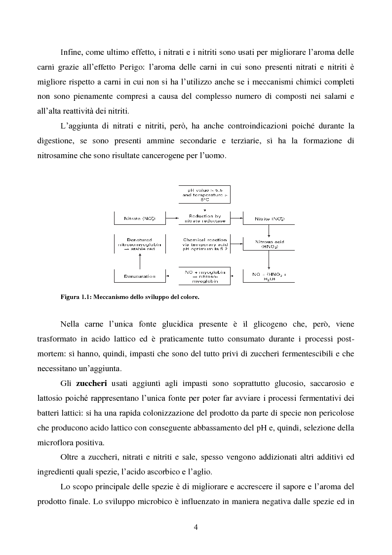 Anteprima della tesi: Effetti degli starter e delle condizioni di maturazione su salami tipici, Pagina 5