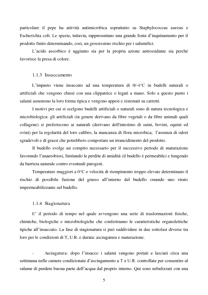 Anteprima della tesi: Effetti degli starter e delle condizioni di maturazione su salami tipici, Pagina 6