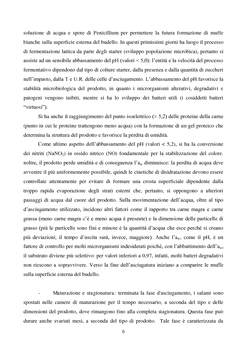 Anteprima della tesi: Effetti degli starter e delle condizioni di maturazione su salami tipici, Pagina 7
