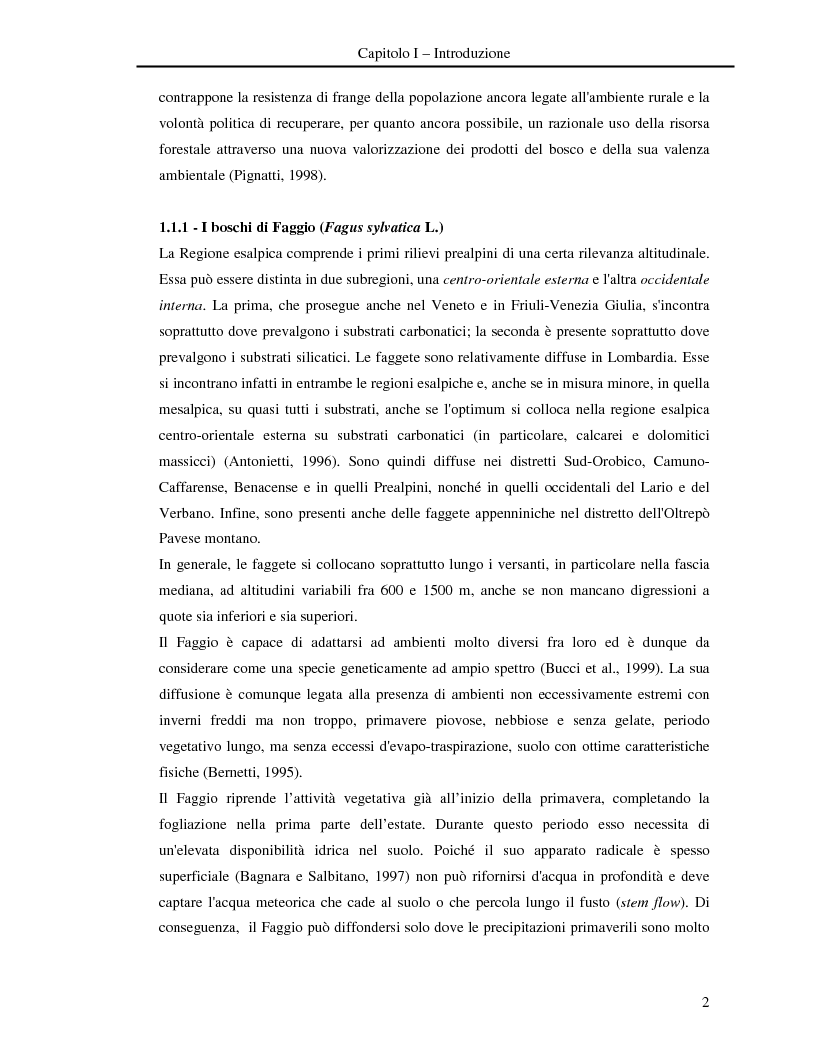 Anteprima della tesi: Misura della biomassa e del contenuto di carbonio nel comparto epigeo ed ipogeo in boschi di faggio (Fagus sylvatica L.), Pagina 3