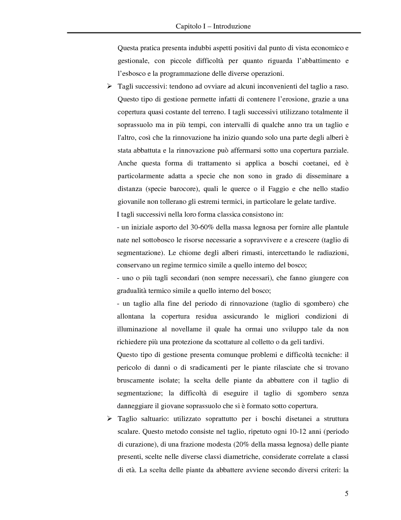 Anteprima della tesi: Misura della biomassa e del contenuto di carbonio nel comparto epigeo ed ipogeo in boschi di faggio (Fagus sylvatica L.), Pagina 6