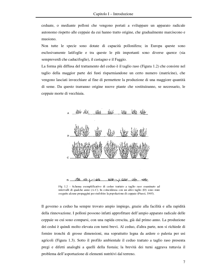 Anteprima della tesi: Misura della biomassa e del contenuto di carbonio nel comparto epigeo ed ipogeo in boschi di faggio (Fagus sylvatica L.), Pagina 8