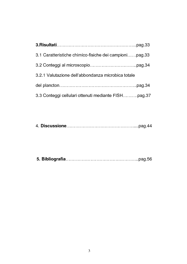 Indice della tesi: Batteri ed Archea Del Lago di Faro studiati mediante la Fluorescence in situ Hybriditation (FISH), Pagina 2