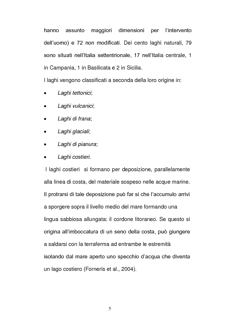 Anteprima della tesi: Batteri ed Archea Del Lago di Faro studiati mediante la Fluorescence in situ Hybriditation (FISH), Pagina 3