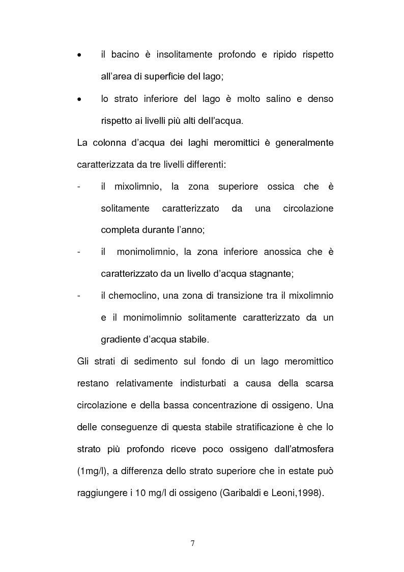 Anteprima della tesi: Batteri ed Archea Del Lago di Faro studiati mediante la Fluorescence in situ Hybriditation (FISH), Pagina 5