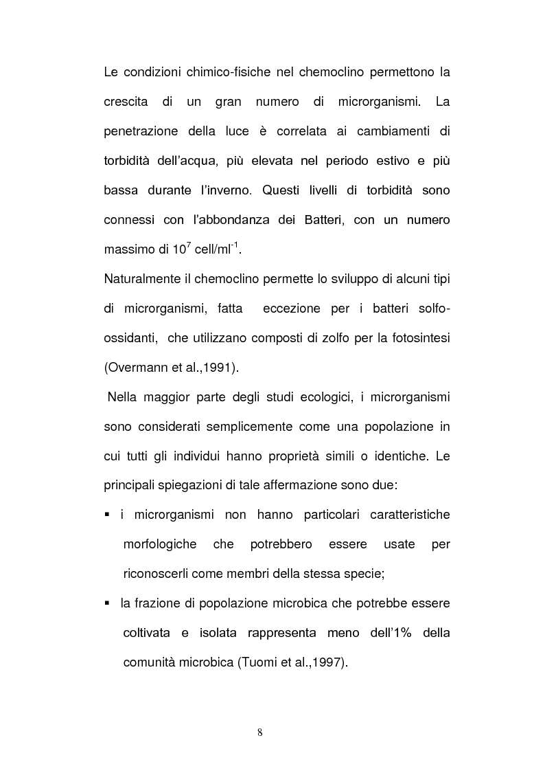 Anteprima della tesi: Batteri ed Archea Del Lago di Faro studiati mediante la Fluorescence in situ Hybriditation (FISH), Pagina 6