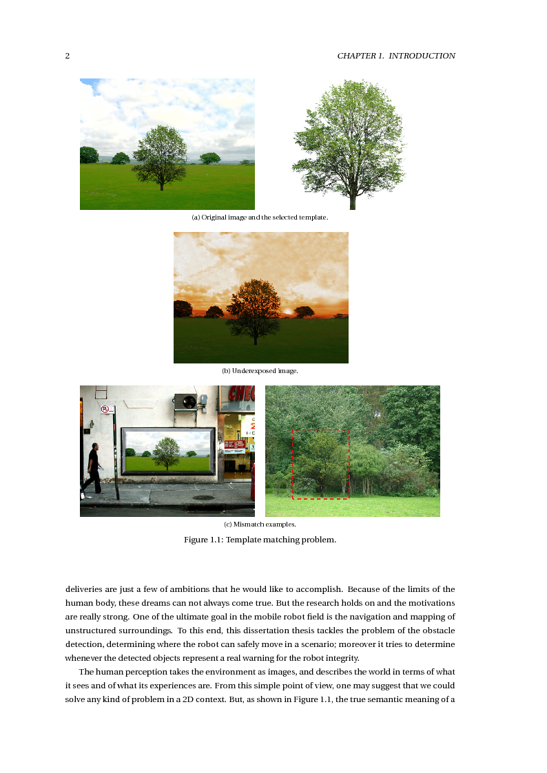 Anteprima della tesi: Stereo Vision Based Object Detection for Mobile Robots (Stereo Visione per il Riconoscimento di Oggetti nella Robotica Mobile), Pagina 4