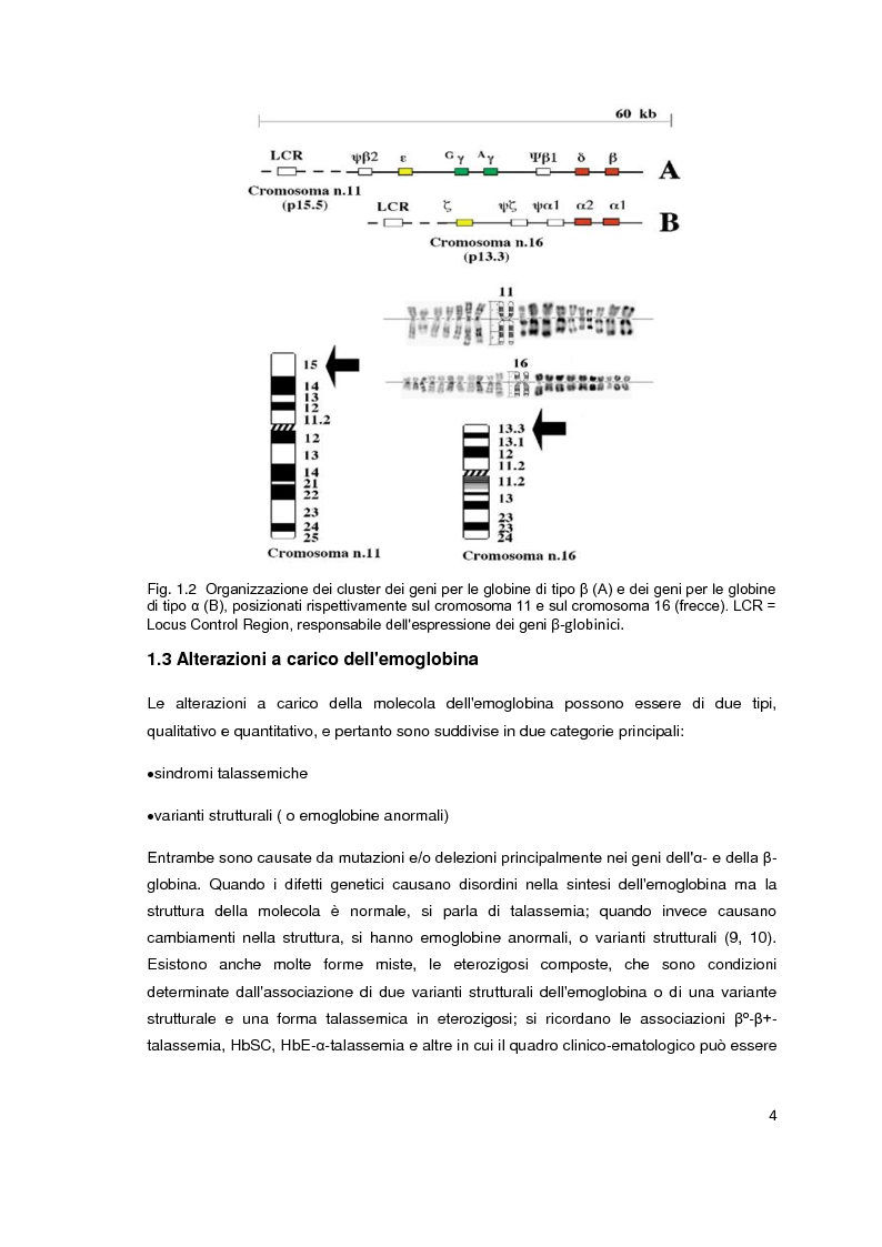 Anteprima della tesi: Screening biochimico e molecolare del gene HBB: confronto tra differenti metodologie di analisi, Pagina 5