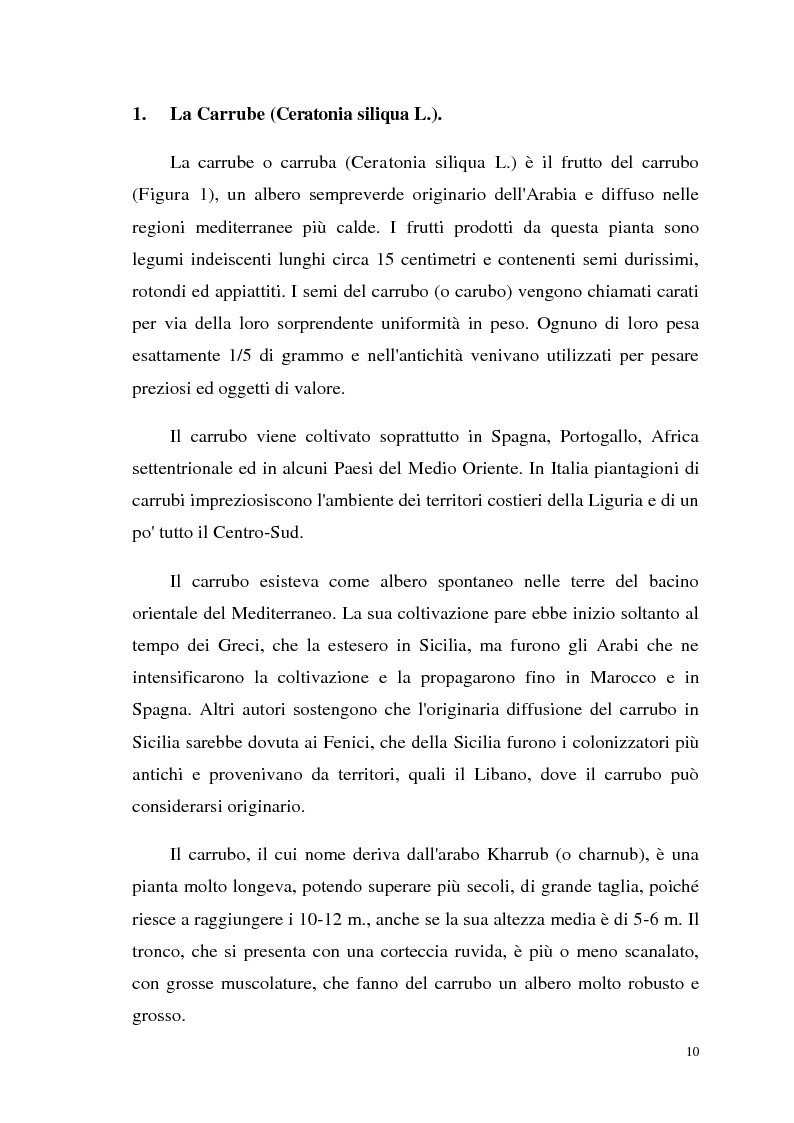 Anteprima della tesi: Isolamento di una nuova malico deidrogenasi da semi di Ceratonia siliqua L. con possibili impieghi in campo biotecnologico, Pagina 3