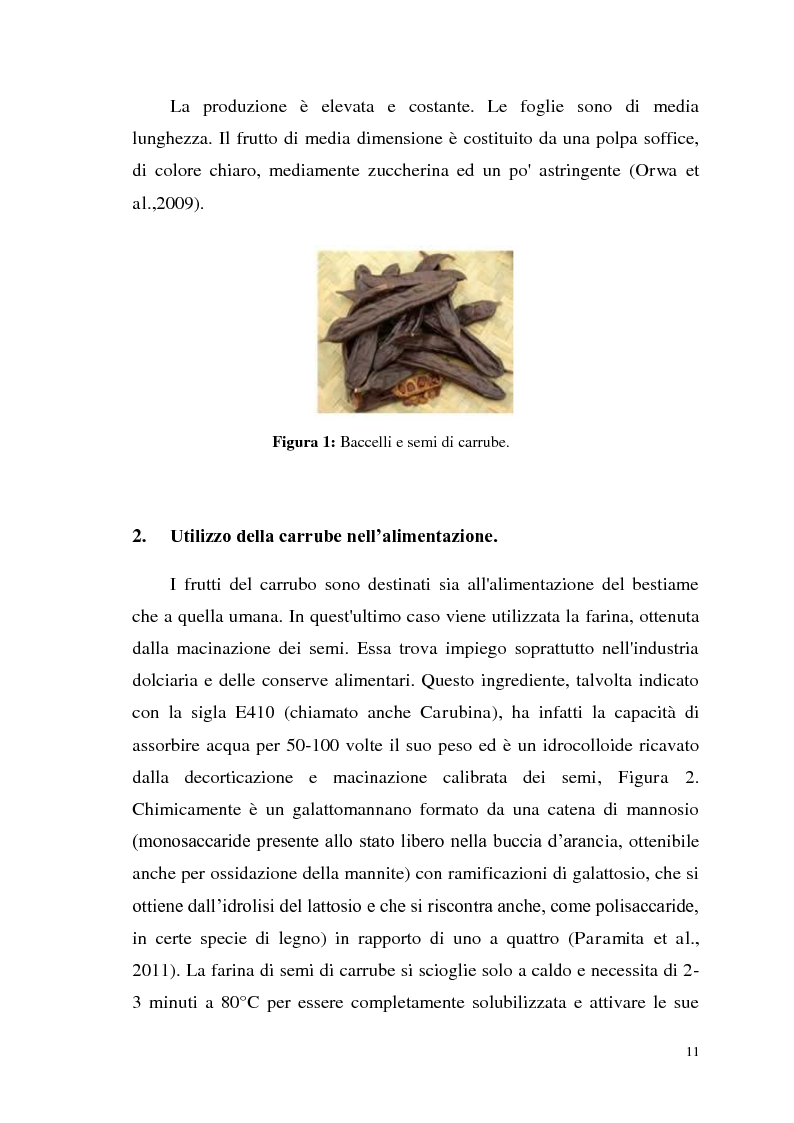 Anteprima della tesi: Isolamento di una nuova malico deidrogenasi da semi di Ceratonia siliqua L. con possibili impieghi in campo biotecnologico, Pagina 4