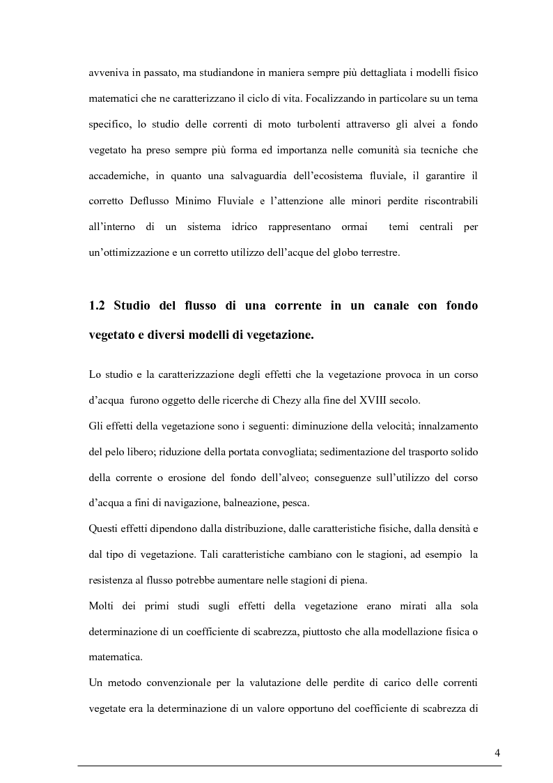 Anteprima della tesi: Misure su canali vegetati: taratura di un nuovo sistema di misura delle velocità istantanee e primi risultati, Pagina 3