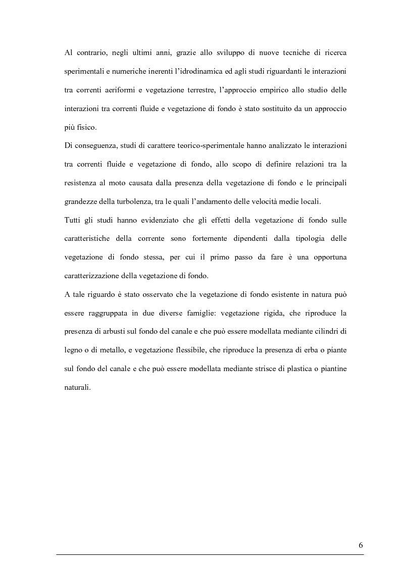 Anteprima della tesi: Misure su canali vegetati: taratura di un nuovo sistema di misura delle velocità istantanee e primi risultati, Pagina 5
