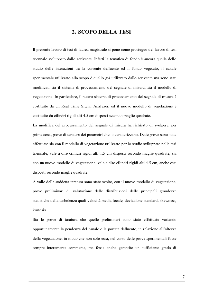 Anteprima della tesi: Misure su canali vegetati: taratura di un nuovo sistema di misura delle velocità istantanee e primi risultati, Pagina 6