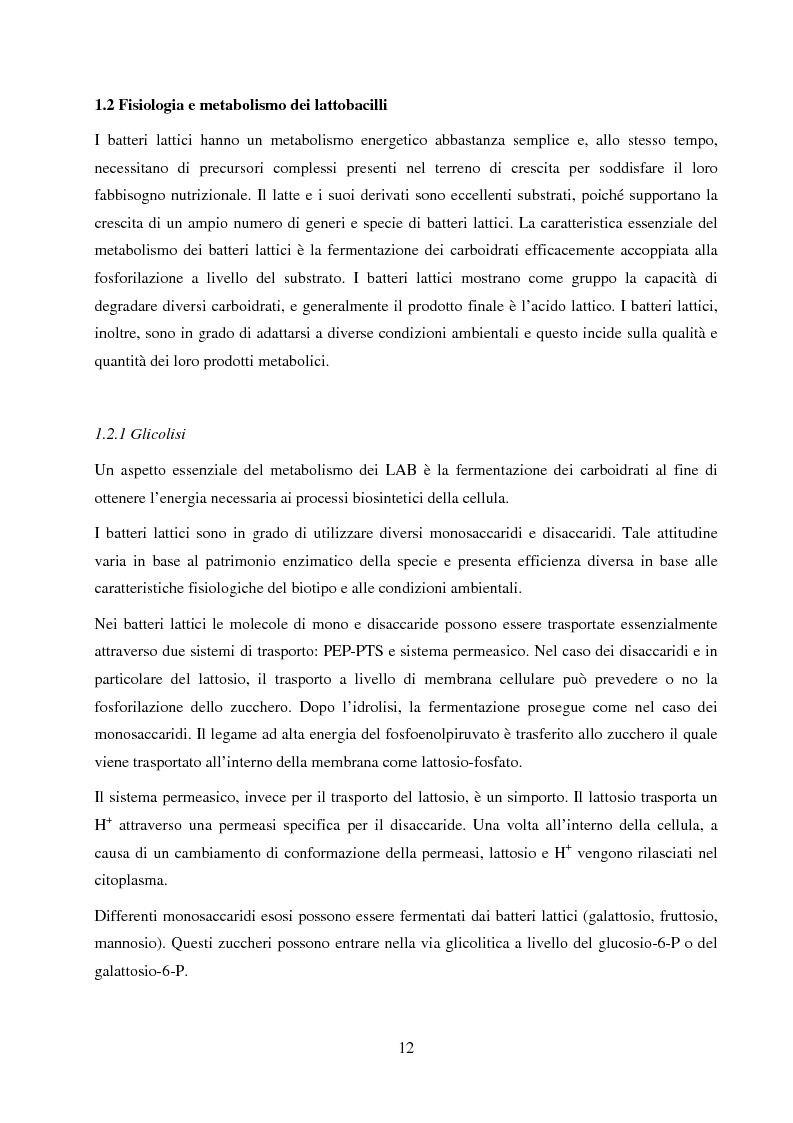 Anteprima della tesi: Valutazione del potenziale probiotico di ceppi di Lactobacillus isolati da Parmigiano-reggiano mediante screening sottrattivo, Pagina 13