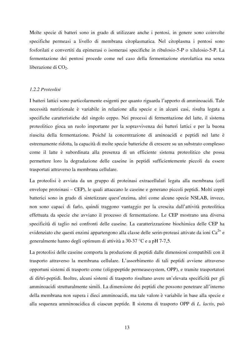 Anteprima della tesi: Valutazione del potenziale probiotico di ceppi di Lactobacillus isolati da Parmigiano-reggiano mediante screening sottrattivo, Pagina 14