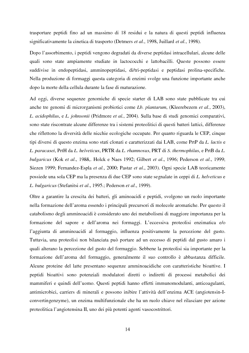 Anteprima della tesi: Valutazione del potenziale probiotico di ceppi di Lactobacillus isolati da Parmigiano-reggiano mediante screening sottrattivo, Pagina 15