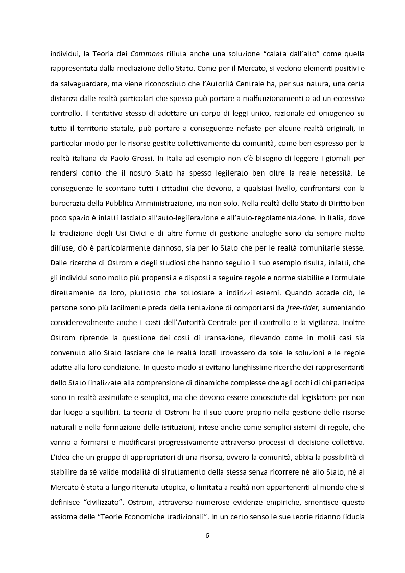 Anteprima della tesi: Oltre la Tragedia dei Beni Comuni: La gestione delle Common-Pool Resources e il Bosco delle Sorti della Partecipanza di Trino, Pagina 3