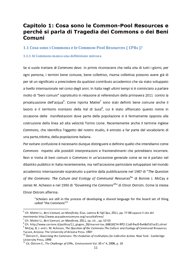 Anteprima della tesi: Oltre la Tragedia dei Beni Comuni: La gestione delle Common-Pool Resources e il Bosco delle Sorti della Partecipanza di Trino, Pagina 8
