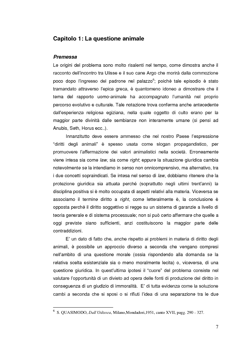 Anteprima della tesi: Il diritto animale. Principi e contraddizioni del sistema., Pagina 4