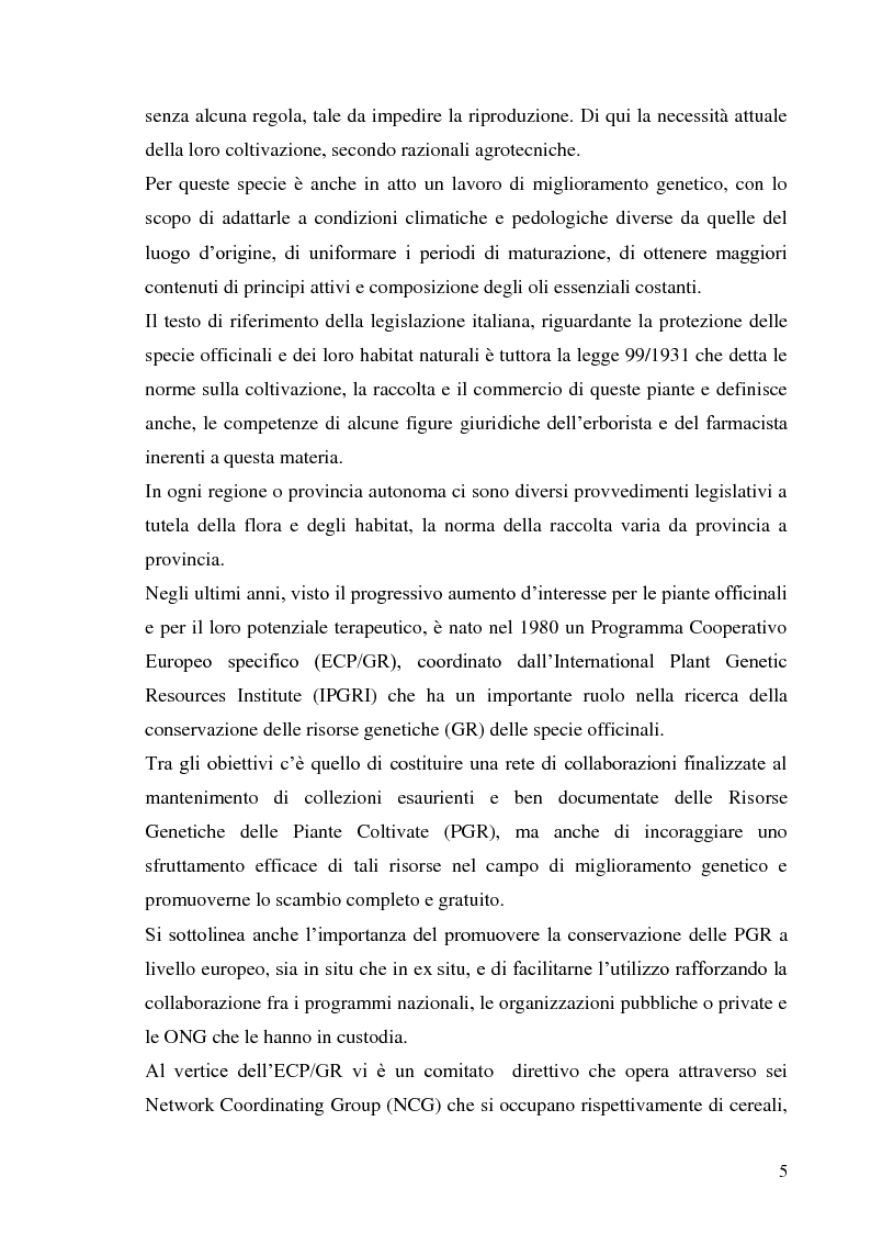 Anteprima della tesi: Indagine conoscitiva sulla flora spontanea a destinazione erboristica nel Parco Nazionale dell’Alta Murgia, Pagina 6