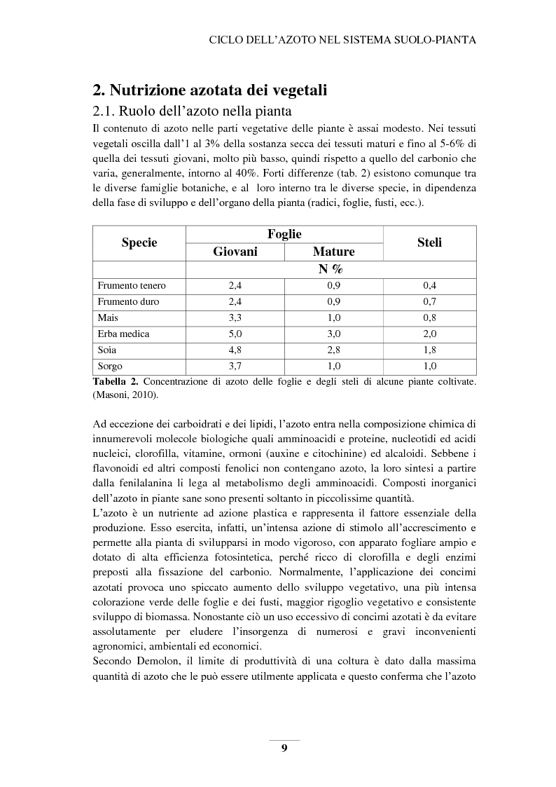 Anteprima della tesi: Riduzione e prevenzione dell’inquinamento delle acque dai nitrati provenienti da fonti agricole, Pagina 6