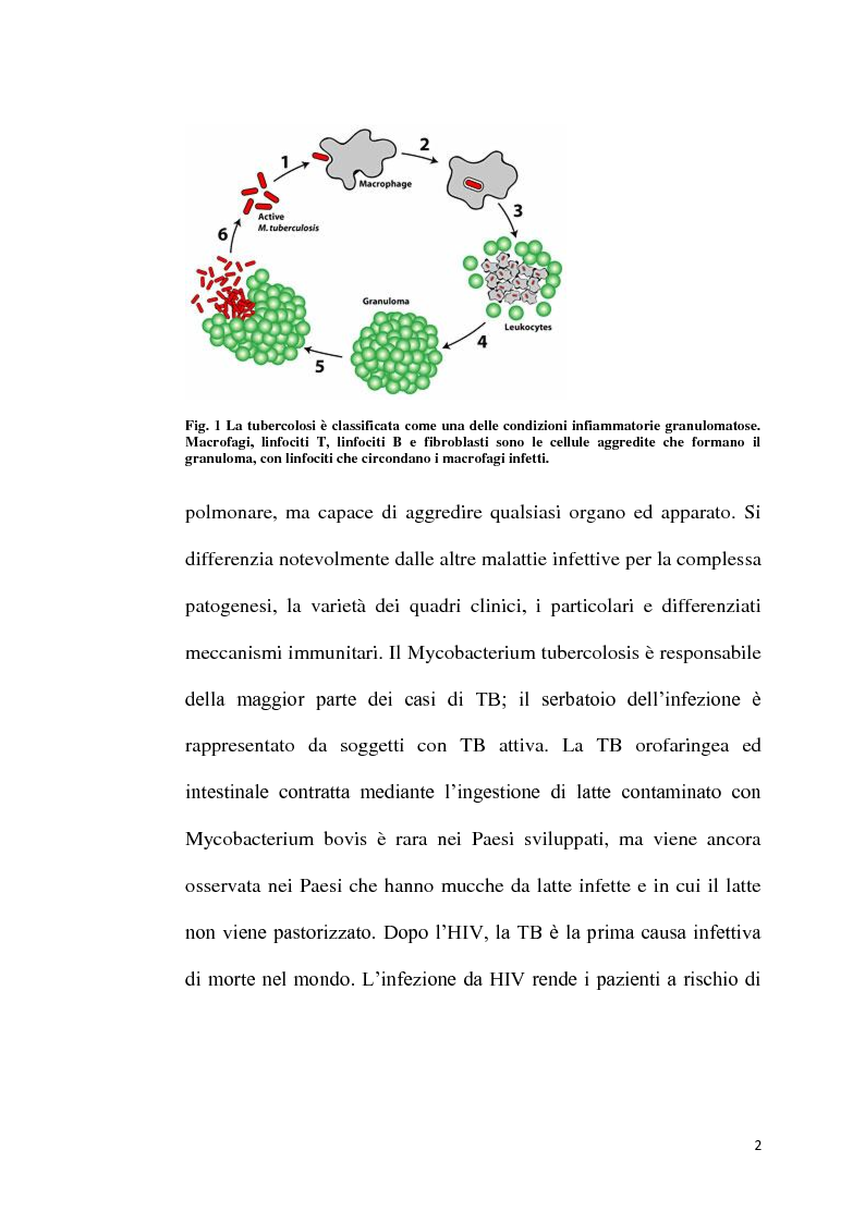 Anteprima della tesi: Sistemi di dimensione colloidale a rilascio modificato di farmaci antitubercolari e loro disciplina normativa., Pagina 3