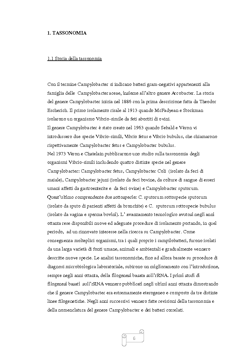 Anteprima della tesi: Campylobacter nella catena alimentare, Pagina 3