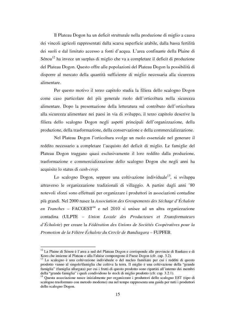 Anteprima della tesi: La sicurezza alimentare attraverso l'orticoltura: il caso dello scalogno Dogon in Mali, Pagina 8