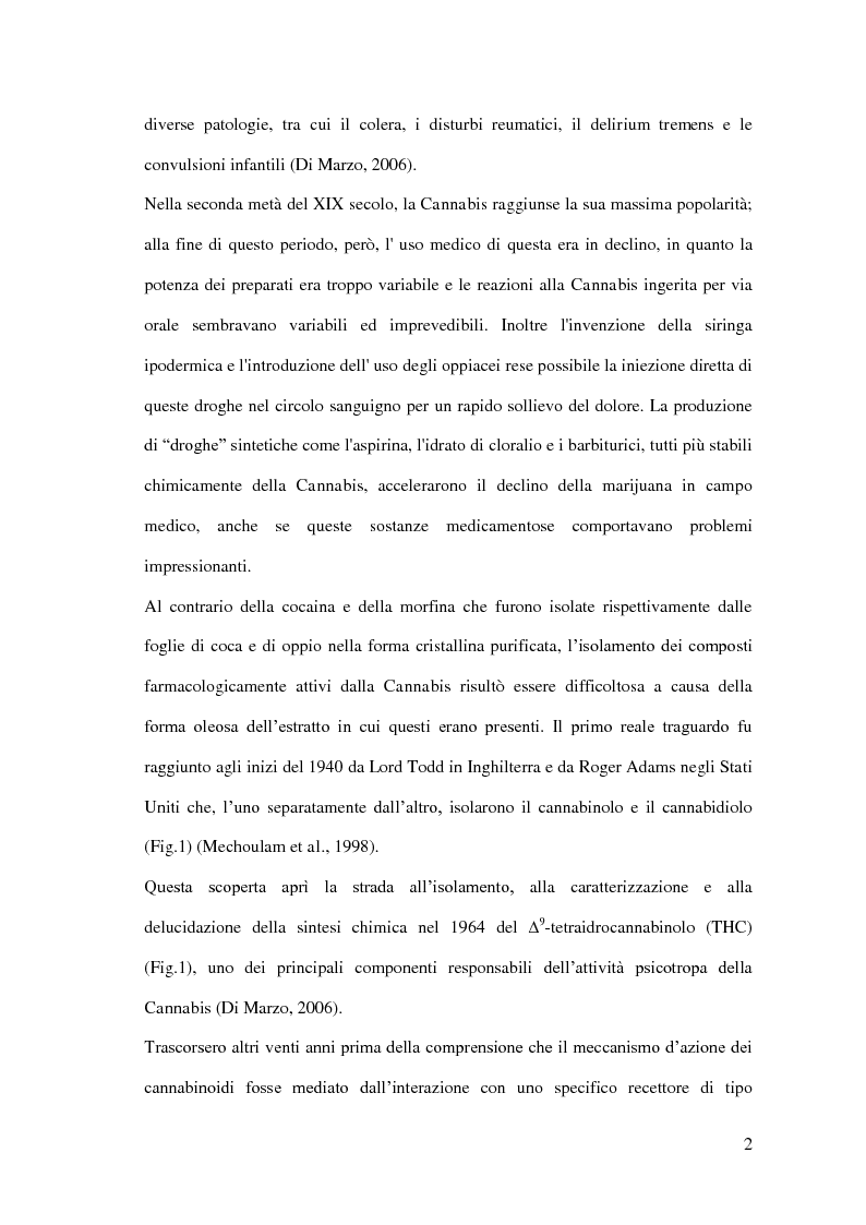 Anteprima della tesi: Endocannabinoidi e consolidamento della memoria emozionale nel ratto: meccanismi neurobiologici, Pagina 3