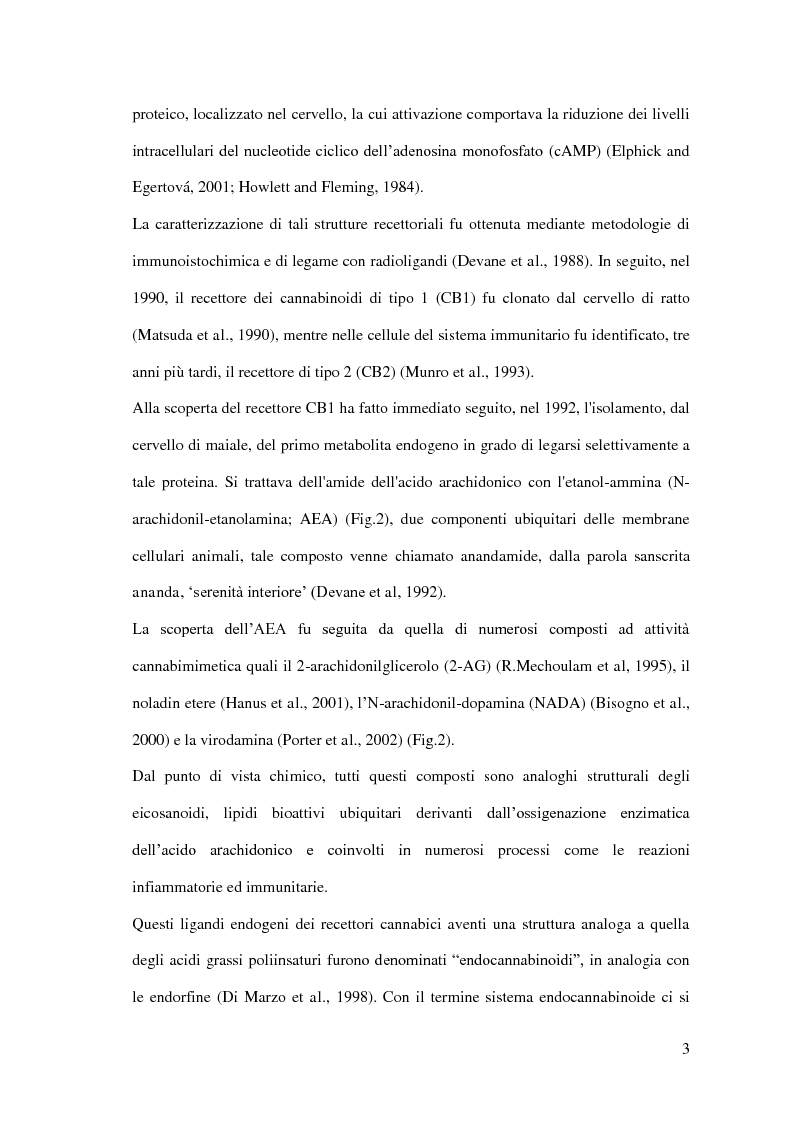Anteprima della tesi: Endocannabinoidi e consolidamento della memoria emozionale nel ratto: meccanismi neurobiologici, Pagina 4