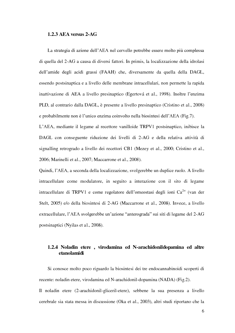Anteprima della tesi: Endocannabinoidi e consolidamento della memoria emozionale nel ratto: meccanismi neurobiologici, Pagina 7