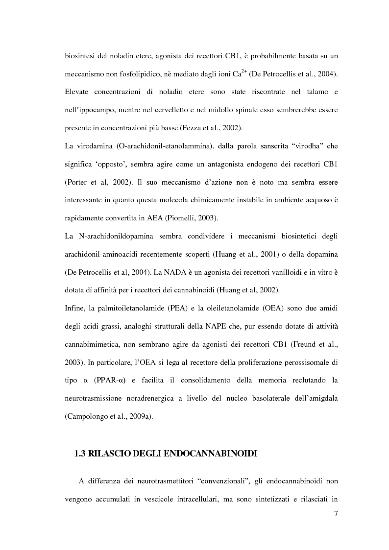 Anteprima della tesi: Endocannabinoidi e consolidamento della memoria emozionale nel ratto: meccanismi neurobiologici, Pagina 8