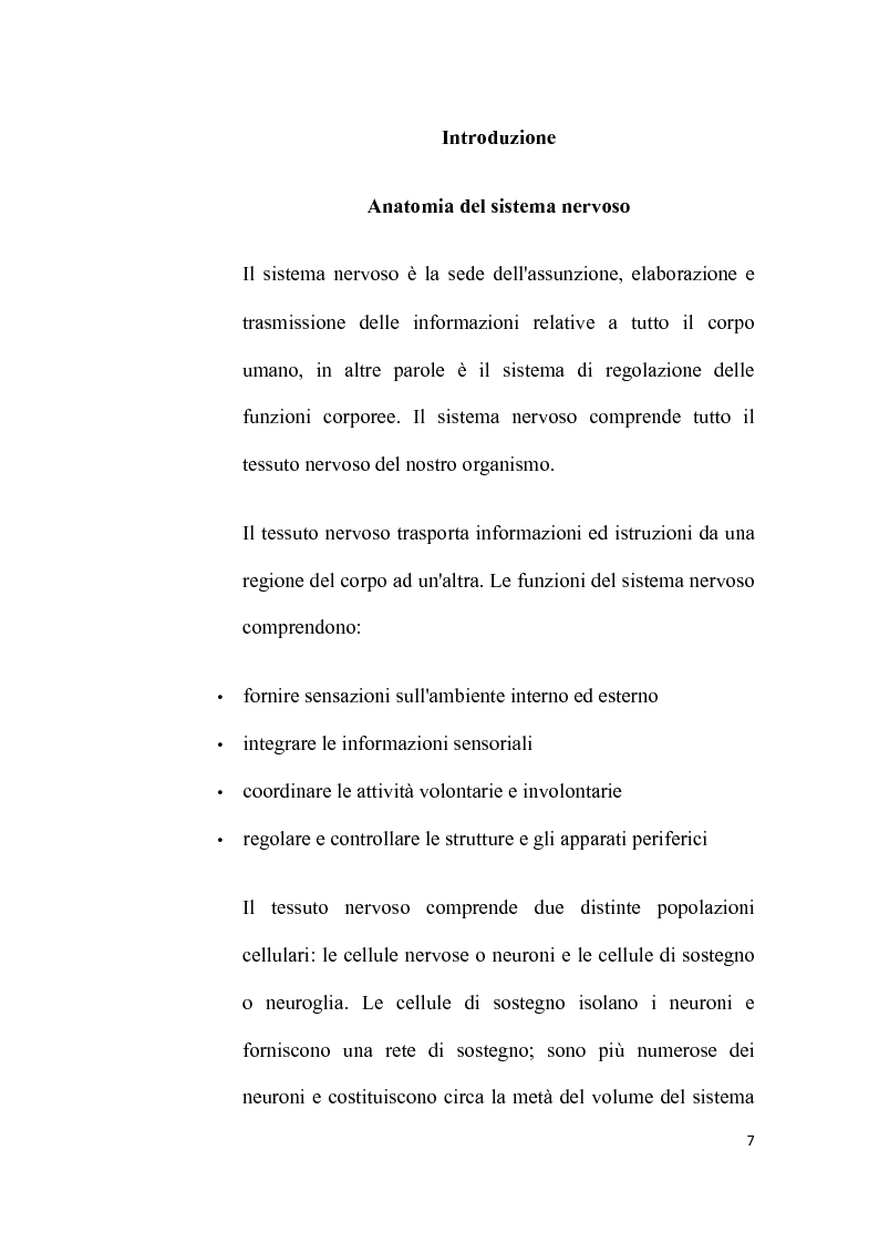 Anteprima della tesi: Assistenza infermieristica alla persona affetta da Alzheimer: l'importanza del trattamento del dolore per dare dignità alla vita, Pagina 5