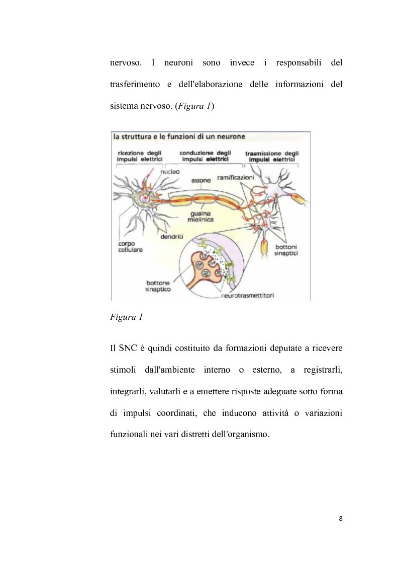 Anteprima della tesi: Assistenza infermieristica alla persona affetta da Alzheimer: l'importanza del trattamento del dolore per dare dignità alla vita, Pagina 6