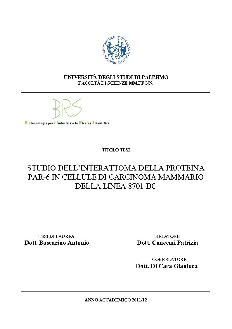 Anteprima della tesi: Studio dell’Interattoma della Proteina PAR-6 in Cellule di Carcinoma Mammario della linea 8701-BC, Pagina 1