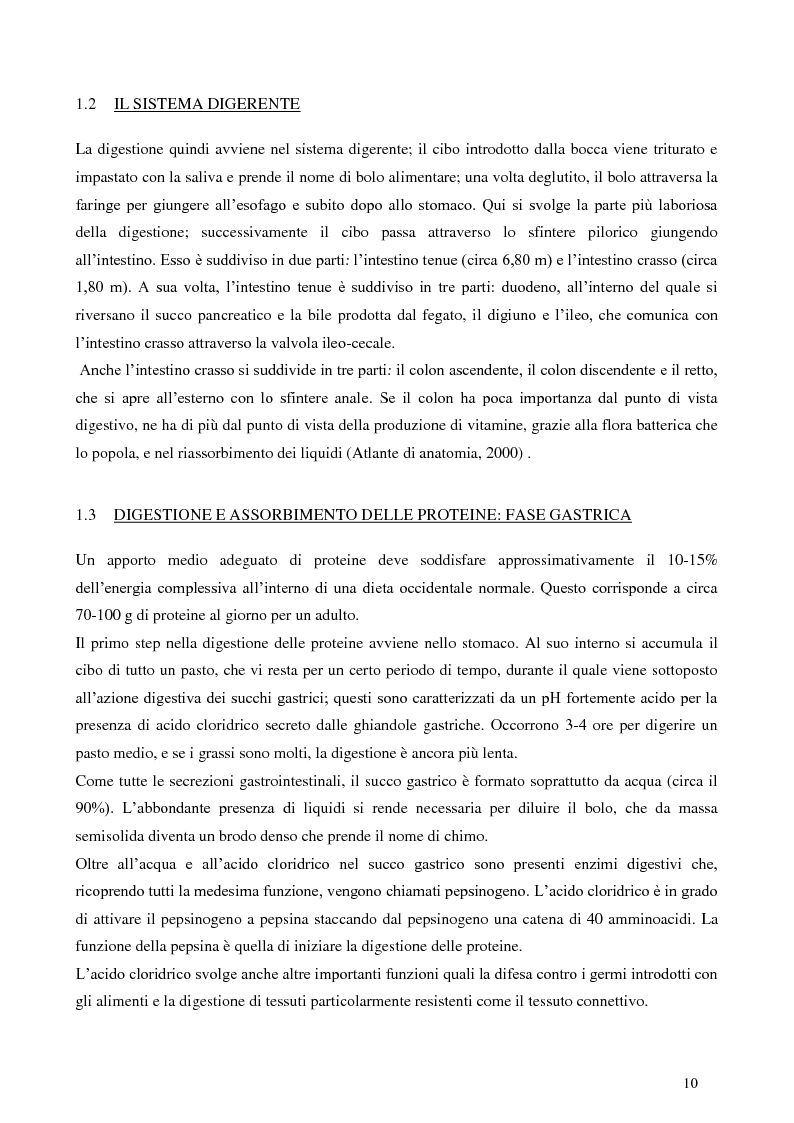 Anteprima della tesi: Digestione gastrica in vitro delle proteine di frumento, Pagina 4