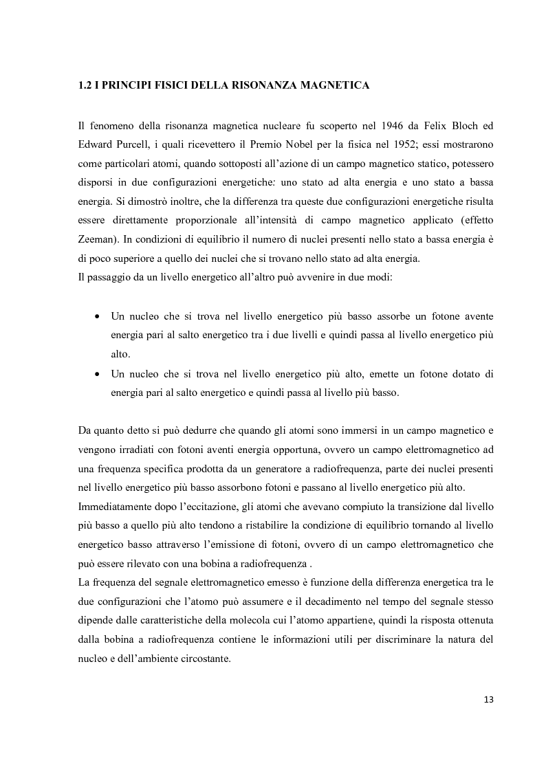 Anteprima della tesi: Valutazione sperimentale del riscaldamento indotto da risonanza magnetica su pacemaker di ultima generazione, Pagina 10