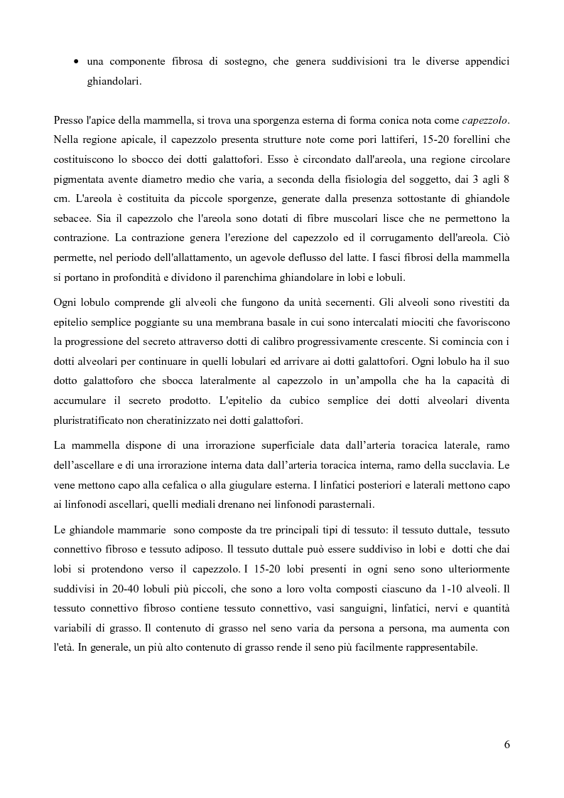 Anteprima della tesi: Analisi della fattibilità e valutazione del rischio di tecniche diagnostiche basate su radar UWB per l’individuazione del tumore al seno, Pagina 3