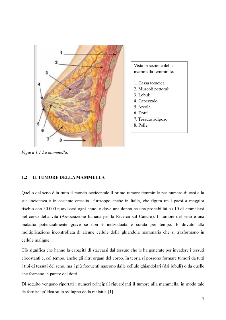 Anteprima della tesi: Analisi della fattibilità e valutazione del rischio di tecniche diagnostiche basate su radar UWB per l’individuazione del tumore al seno, Pagina 4