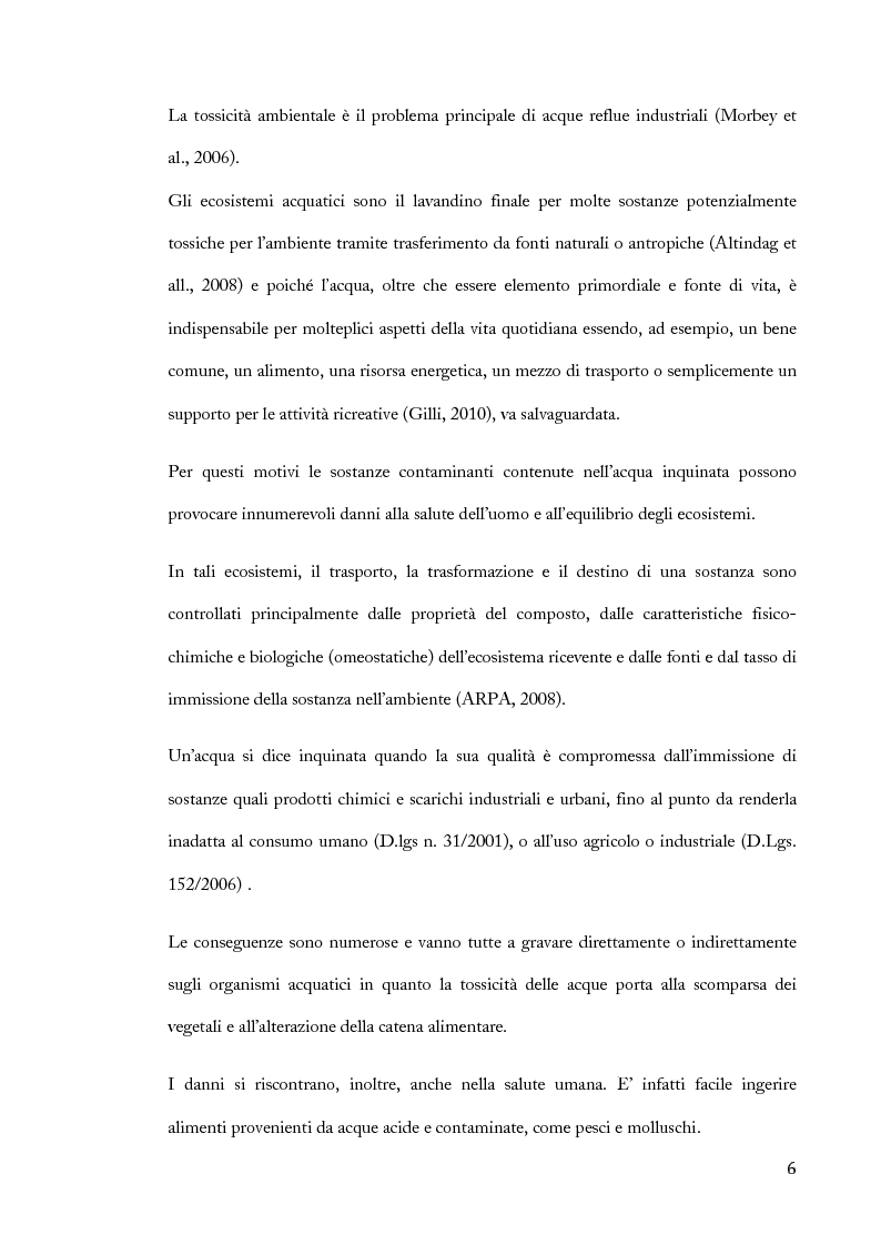 Anteprima della tesi: Saggi ecotossicologici su miscele di reflui industriali, Pagina 4