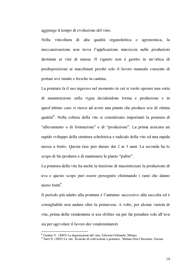 Anteprima della tesi: La gestione della produzione vinicola. Il caso Cantine Due Palme, Pagina 12